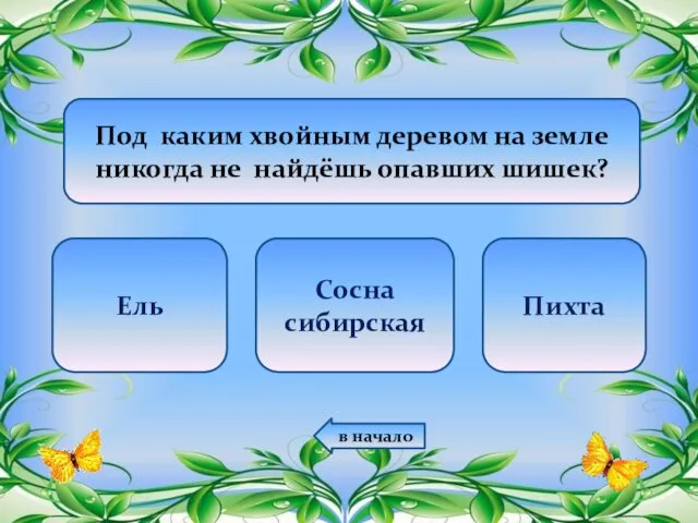 Под каким хвойным деревом на земле никогда не найдёшь опавших шишек? Ель Сосна