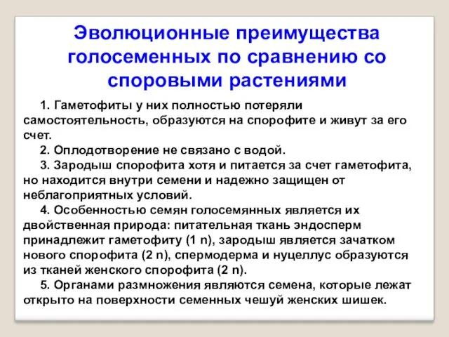 Эволюционные преимущества голосеменных по сравнению со споровыми растениями 1. Гаметофиты