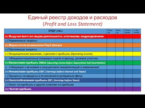 Единый реестр доходов и расходов (Profit and Loss Statement)