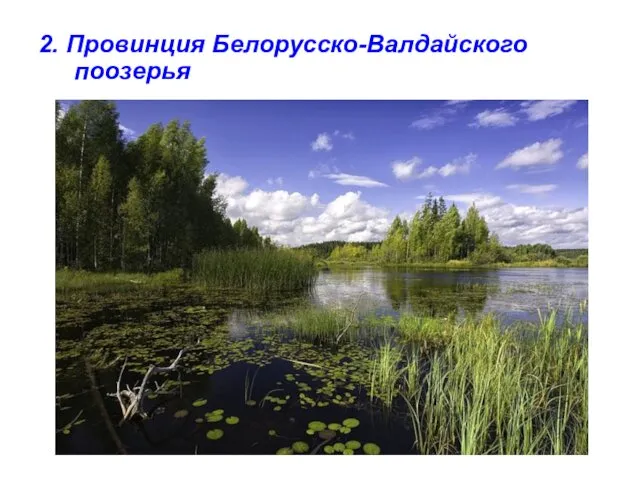 2. Провинция Белорусско-Валдайского поозерья