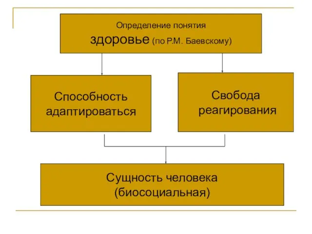 Определение понятия здоровье (по Р.М. Баевскому) Сущность человека (биосоциальная) Способность адаптироваться Свобода реагирования