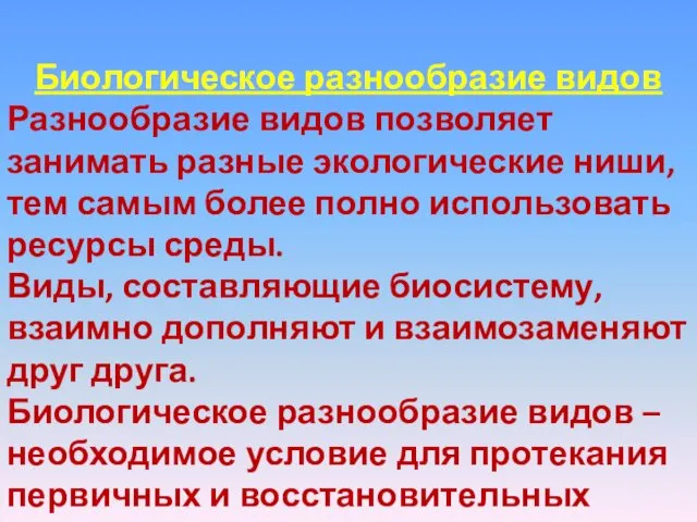 Биологическое разнообразие видов Разнообразие видов позволяет занимать разные экологические ниши, тем самым более