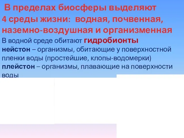 В пределах биосферы выделяют 4 среды жизни: водная, почвенная, наземно-воздушная и организменная В