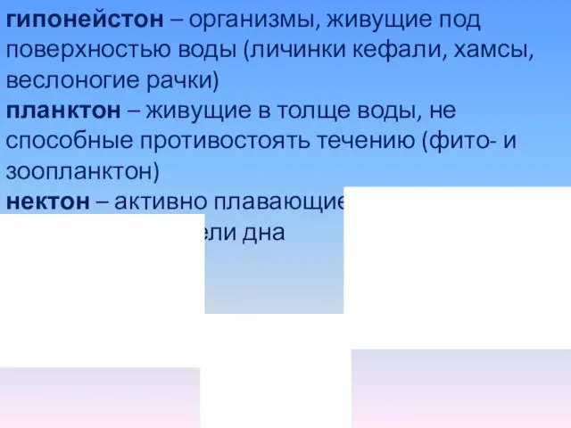 гипонейстон – организмы, живущие под поверхностью воды (личинки кефали, хамсы, веслоногие рачки) планктон