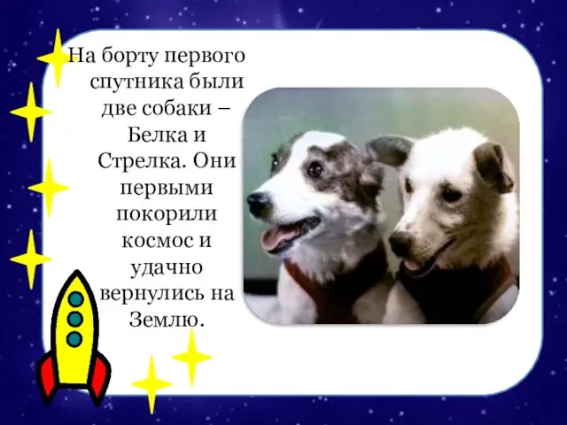 На борту первого спутника были две собаки – Белка и