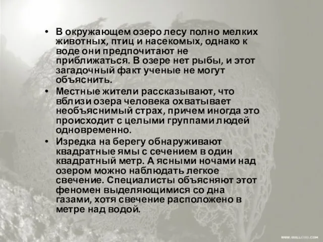 В окружающем озеро лесу полно мелких животных, птиц и насекомых,