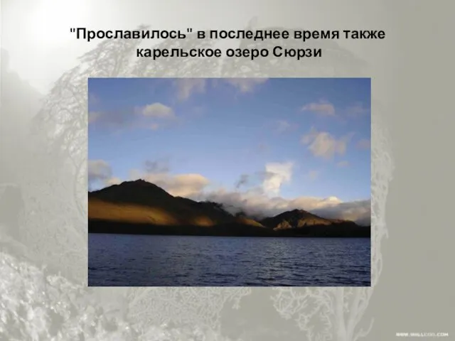 "Прославилось" в последнее время также карельское озеро Сюрзи