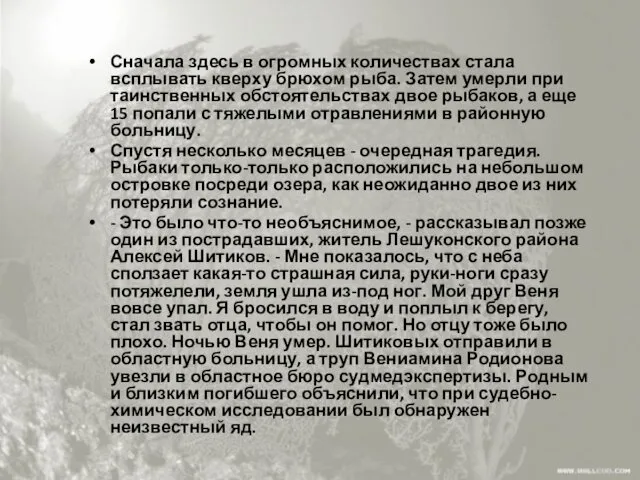 Сначала здесь в огромных количествах стала всплывать кверху брюхом рыба.