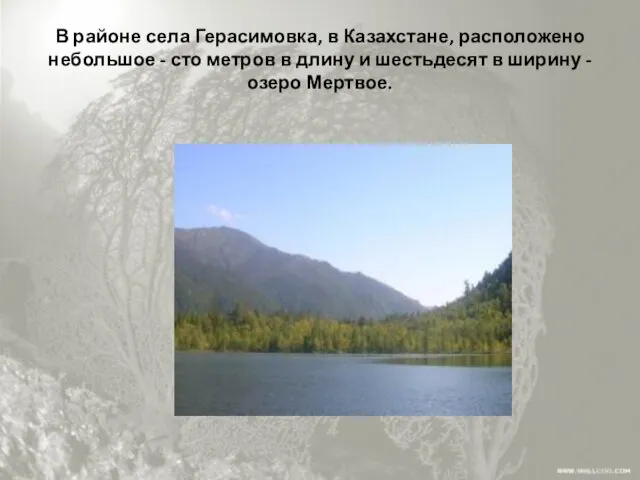 В районе села Герасимовка, в Казахстане, расположено небольшое - сто