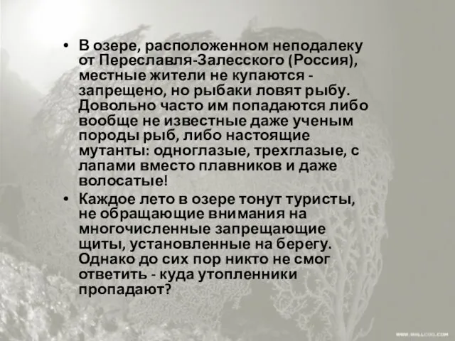 В озере, расположенном неподалеку от Переславля-Залесского (Россия), местные жители не