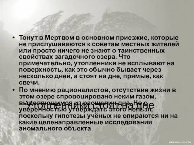 Утопленники стоят на дне Тонут в Мертвом в основном приезжие,