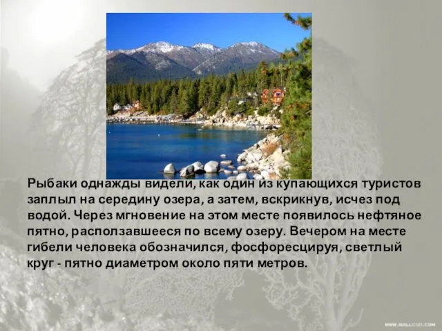 Рыбаки однажды видели, как один из купающихся туристов заплыл на