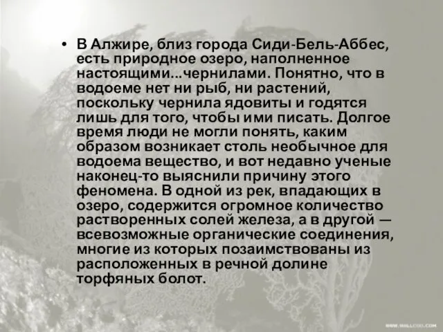 В Алжире, близ города Сиди-Бель-Аббес, есть природное озеро, наполненное настоящими...чернилами.