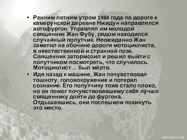 Ранним летним утром 1984 года по дороге к камерунской деревне