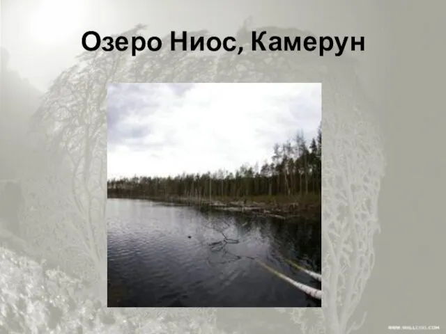 Озеро Ниос, Камерун