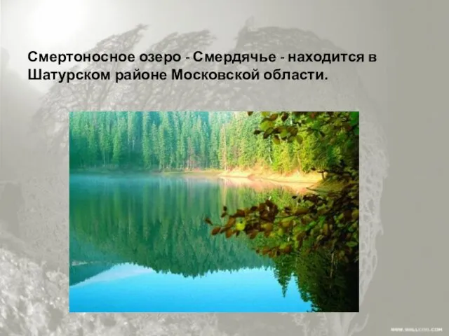 Смертоносное озеро - Смердячье - находится в Шатурском районе Московской области.