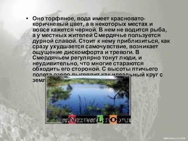 Оно торфяное, вода имеет красновато-коричневый цвет, а в некоторых местах