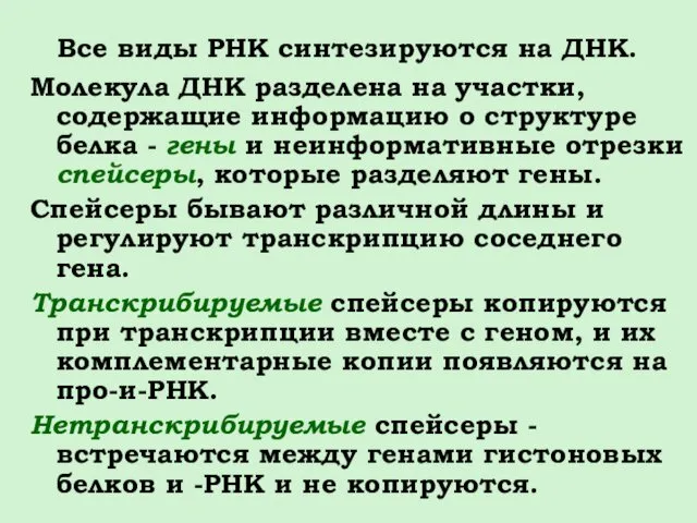 Все виды РНК синтезируются на ДНК. Молекула ДНК разделена на