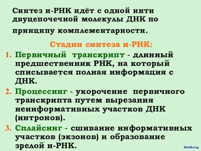 Синтез и-РНК идёт с одной нити двуцепочечной молекулы ДНК по