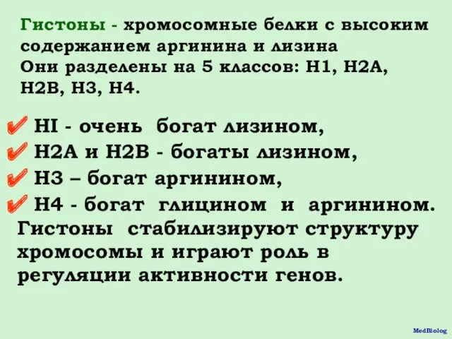 Гистоны - хромосомные белки с высоким содержанием аргинина и лизина