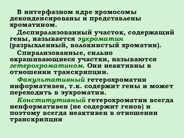 В интерфазном ядре хромосомы деконденсированы и представлены хроматином. Деспирализованный участок,