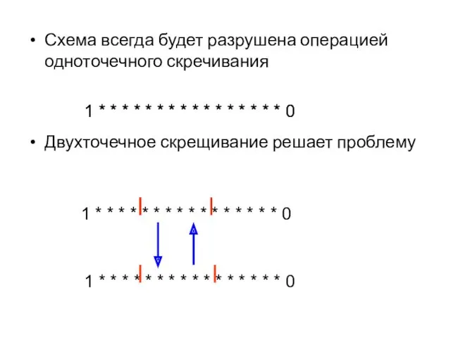 Схема всегда будет разрушена операцией одноточечного скречивания Двухточечное скрещивание решает