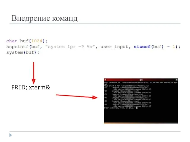 Внедрение команд FRED; xterm&