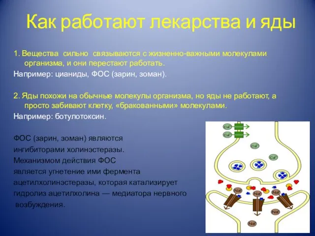 Как работают лекарства и яды 1. Вещества сильно связываются с