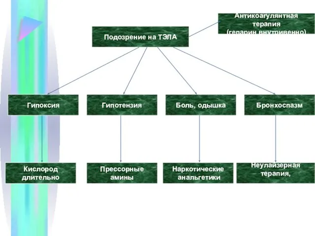 Подозрение на ТЭЛА Антикоагулянтная терапия (гепарин внутривенно) Гипоксия Боль, одышка