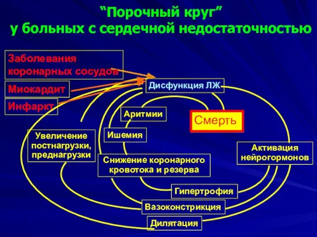 “Порочный круг” у больных с сердечной недостаточностью Дисфункция ЛЖ Активация