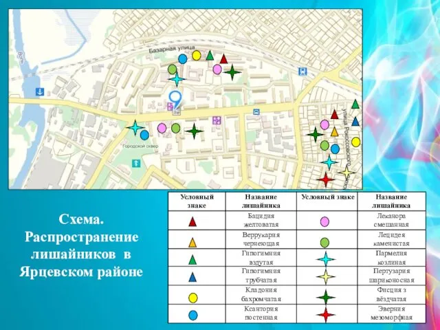 Схема. Распространение лишайников в Ярцевском районе