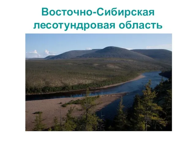 Восточно-Сибирская лесотундровая область