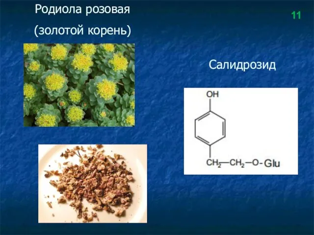 Родиола розовая (золотой корень) Салидрозид 11