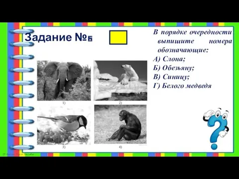 Задание №6 В порядке очередности выпишите номера обозначающие: А) Слона;