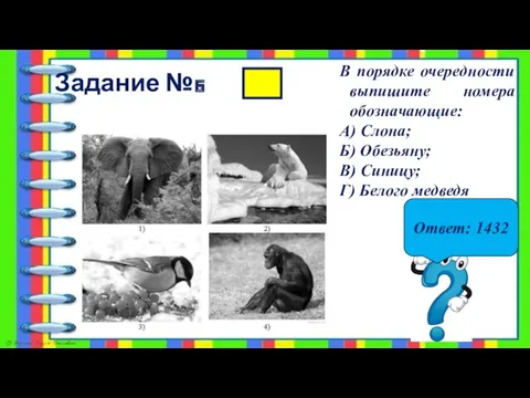 Задание №6 Ответ: 1432 В порядке очередности выпишите номера обозначающие: