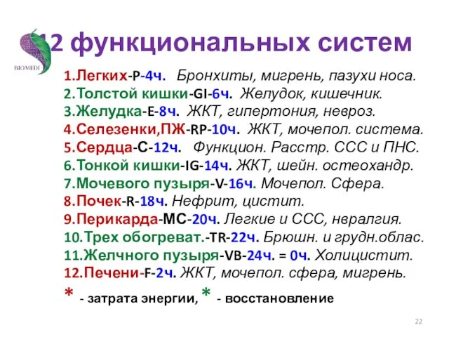 12 функциональных систем 1.Легких-P-4ч. Бронхиты, мигрень, пазухи носа. 2.Толстой кишки-GI-6ч.