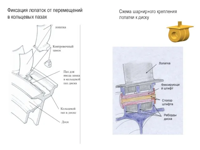 Фиксация лопаток от перемещений в кольцевых пазах Схема шарнирного крепления лопатки к диску