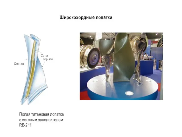 Широкохордные лопатки Полая титановая лопатка с сотовым заполнителем RB-211