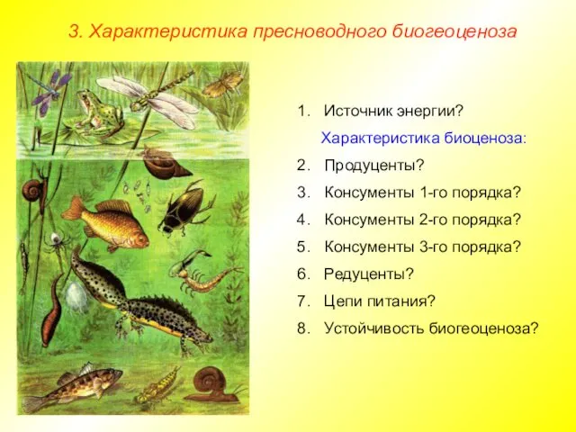 3. Характеристика пресноводного биогеоценоза Источник энергии? Характеристика биоценоза: Продуценты? Консументы