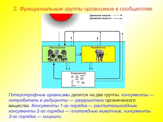 2. Функциональные группы организмов в сообществе Гетеротрофные организмы делятся на