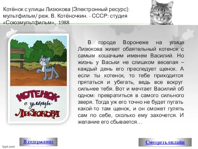 В городе Воронеже на улице Лизюкова живет обаятельный котенок с