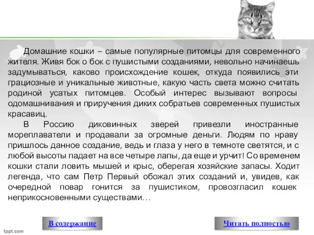 Домашние кошки – самые популярные питомцы для современного жителя. Живя