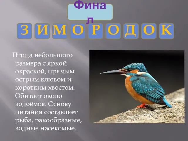 Птица небольшого размера с яркой окраской, прямым острым клювом и