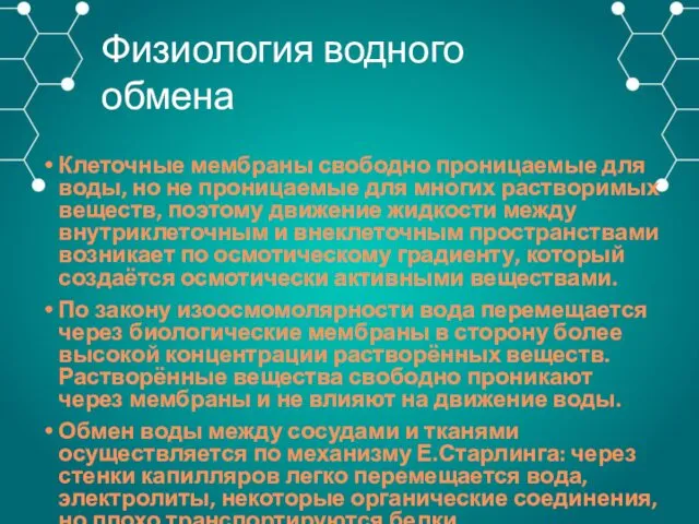 Клеточные мембраны свободно проницаемые для воды, но не проницаемые для