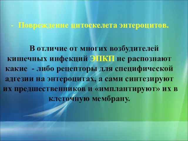 - Повреждение цитоскелета энтероцитов. В отличие от многих возбудителей кишечных