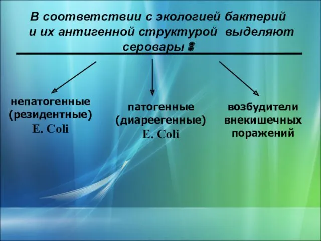 В соответствии с экологией бактерий и их антигенной структурой выделяют