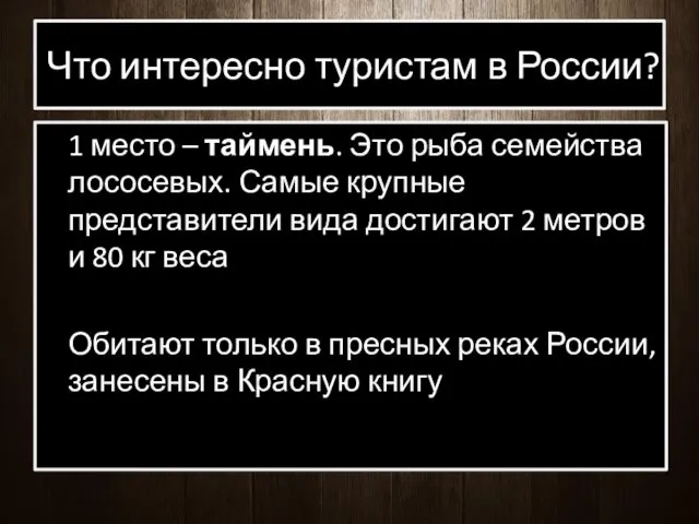 Что интересно туристам в России? 1 место – таймень. Это рыба семейства лососевых.