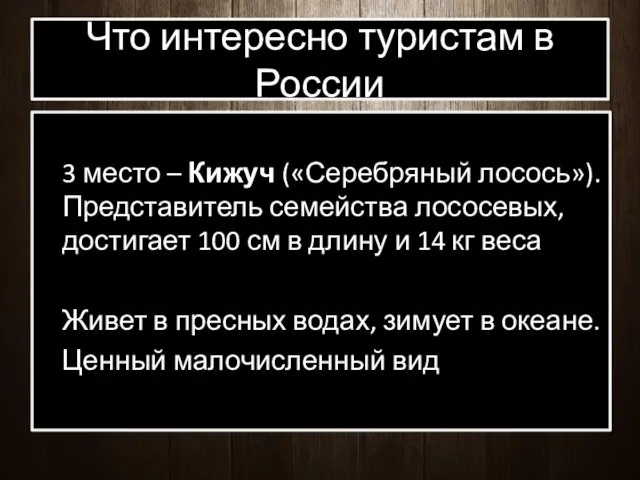 Что интересно туристам в России 3 место – Кижуч («Серебряный лосось»). Представитель семейства