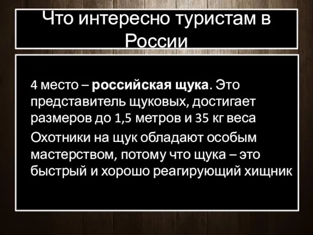 Что интересно туристам в России 4 место – российская щука. Это представитель щуковых,