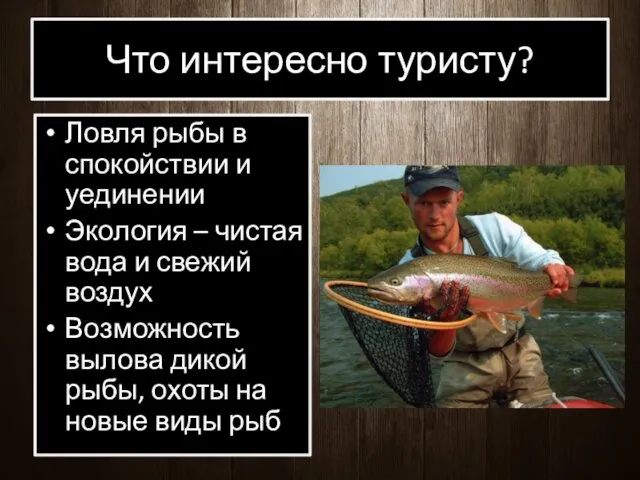 Что интересно туристу? Ловля рыбы в спокойствии и уединении Экология – чистая вода